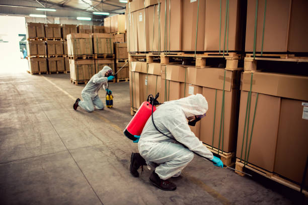 Best Exterminator Services  in Violet, LA