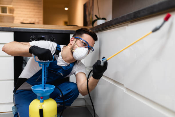 Best Best Pest Control Companies  in Violet, LA