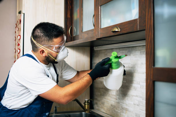 Best Affordable Pest Control Services  in Violet, LA