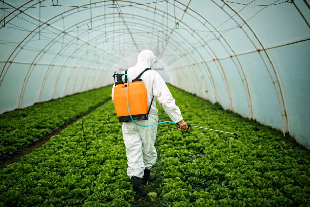 Best Best Pest Control Companies  in Violet, LA