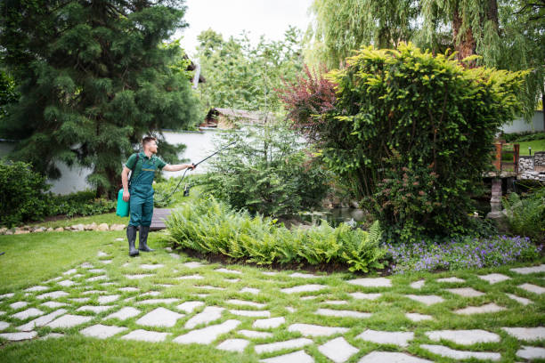 Best Best Pest Control Companies  in Violet, LA