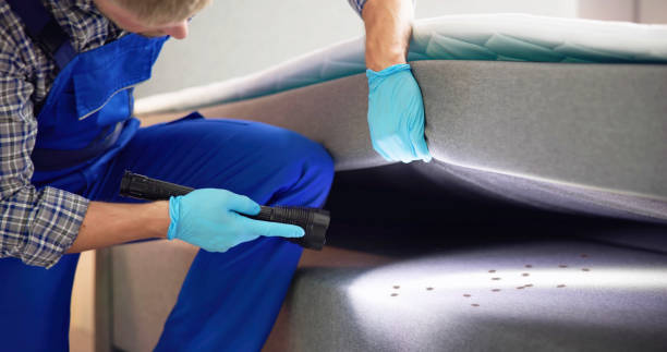 Best Wildlife Control Services  in Violet, LA