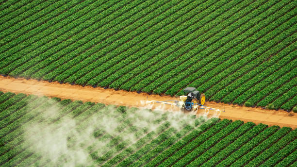 Reliable Violet, LA Pest Control Solutions