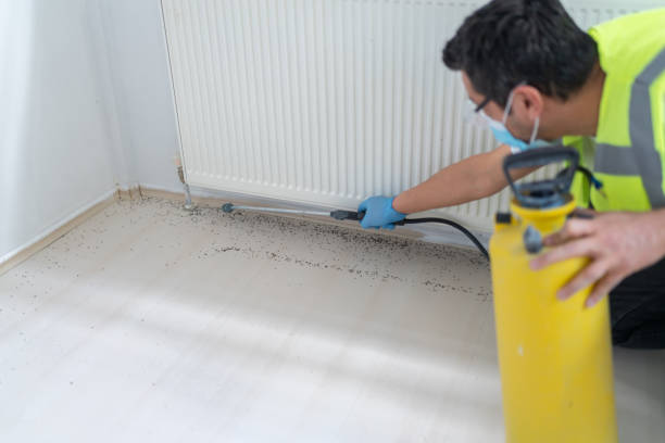 Best Pest Removal Services  in Violet, LA