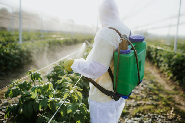 Best Pest Control for Restaurants  in Violet, LA